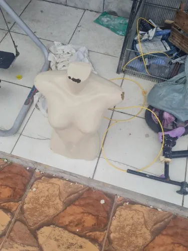 Manequin