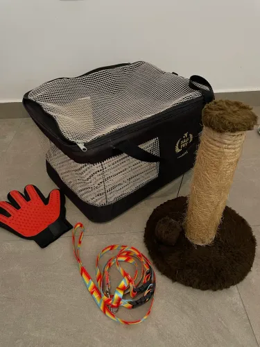 Bolsa de transportes aéreos para caes gatos avião preta 43x32x24cm São Pet