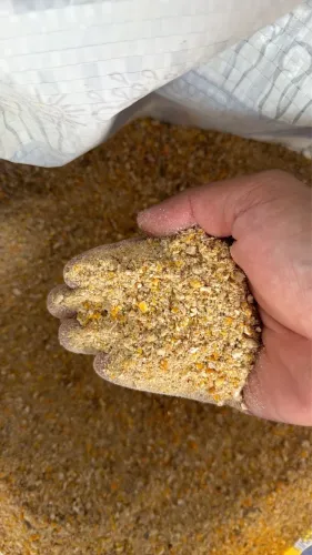 VENDO QUIRELA DE MILHO