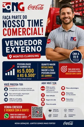 Vendedor Externo