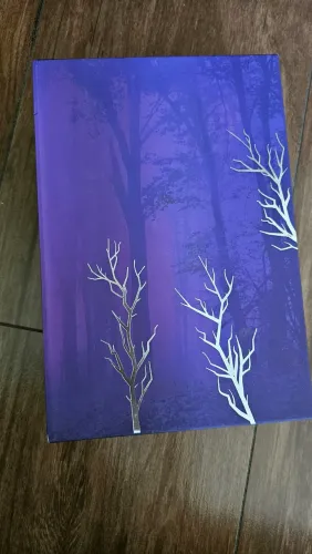 Livros Box Série Fallen - Lauren Kate