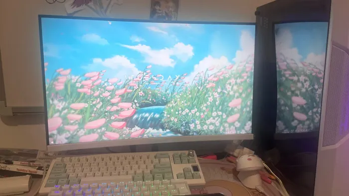 Monitor gsmer