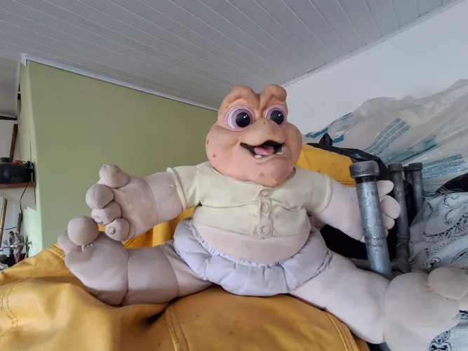 Baby da família saro