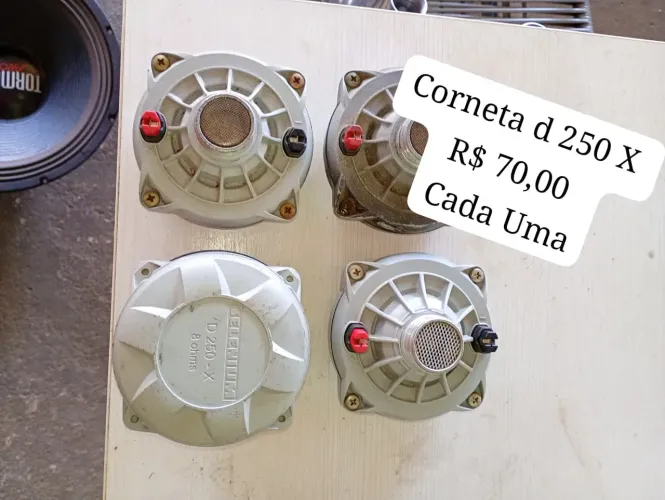 Corneta D250 X   R$ 70,00 cada Uma