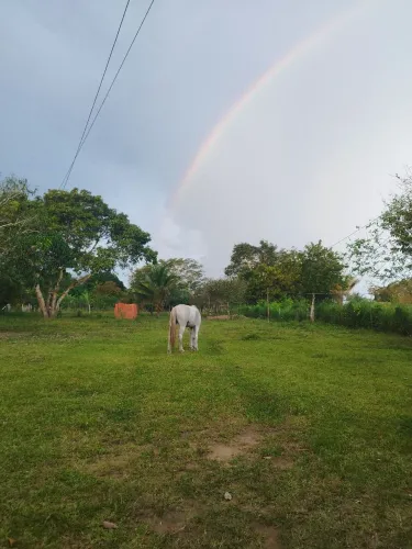Chácaras dentro da cidade