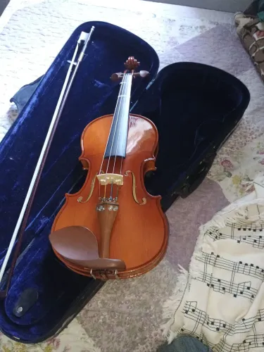 Violino