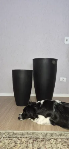 Conjunto de vasos Vasap