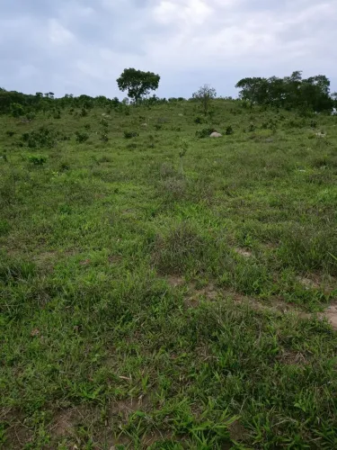 Chácara em anicuns