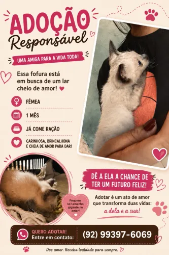 Doação responsável