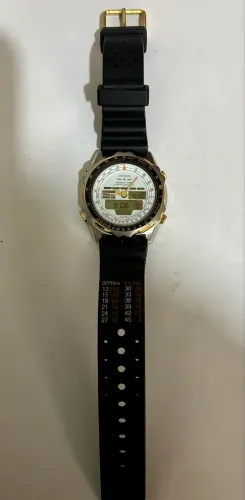 Citizen New Wingman Americano