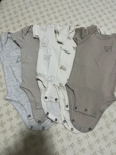 Bodies Carters
