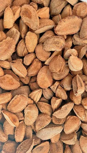 Castanha do PA