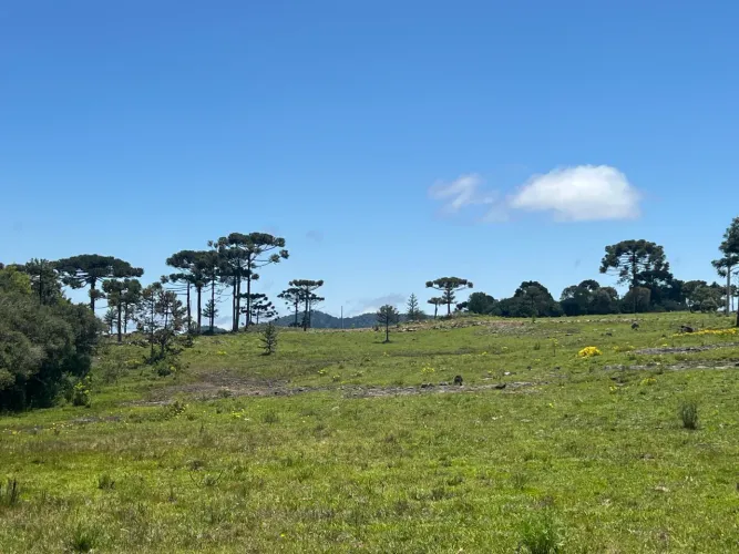 OPORTUNIDADE - terreno em Urubici 20.000m2 - 30%+ 48X