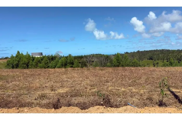 Terreno dos Sonhos em Maragogi: Vista para o Mar
