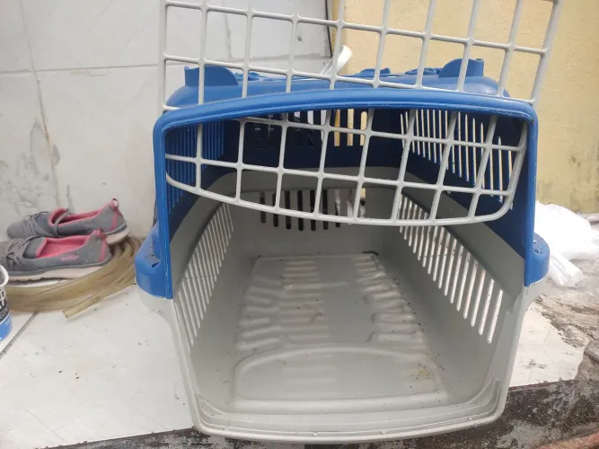Vendo esa caixa de transporte de animais