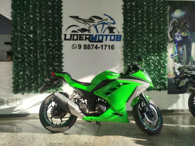 Kawasaki Ninja 300