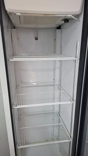 Freezer vertical