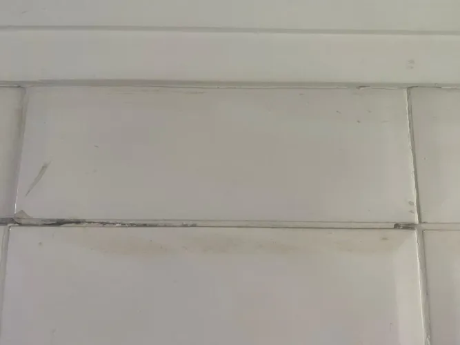 Azulejista profissional