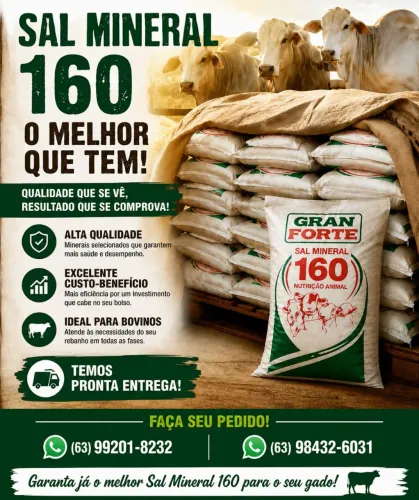 Sal mineral 160