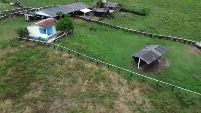 680 hectares fazenda pronta com 50 hectares de açai em produção 130km de Belém