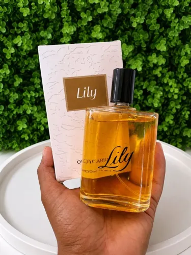 Kit com 2 Perfumes 100ml <br>Similares