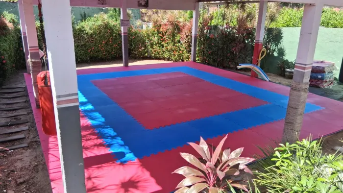 Tatame 1m x 1m x 10 mm