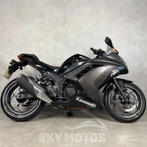 Kawasaki Ninja 300 2015 (Cod.: 2889)