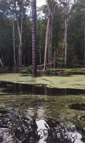 Sítio Sítio Rio Preto da Eva , valor 850.000,00 , *