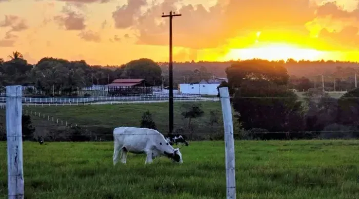 Terreno de chácara 4.980m² e Rancho no Ipioca Ranch 2 km da BR e da praia Ipioca Maceio