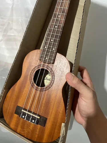Ukulele Novo
