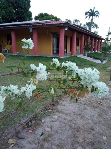 Sitio à Venda em Caucaia no Coité Pedreiras