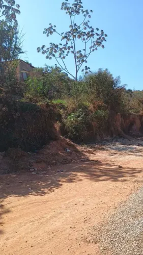 Lotes no bairro samambaias em juatuba