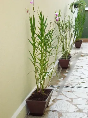 Floreira em concreto