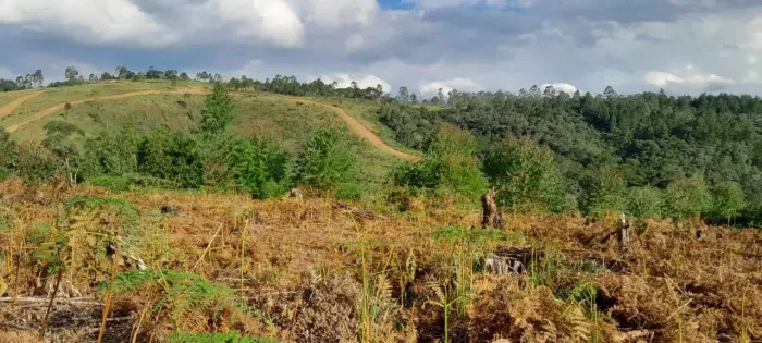 Lote 600m² Pronto para Construir no Bairro do Portão