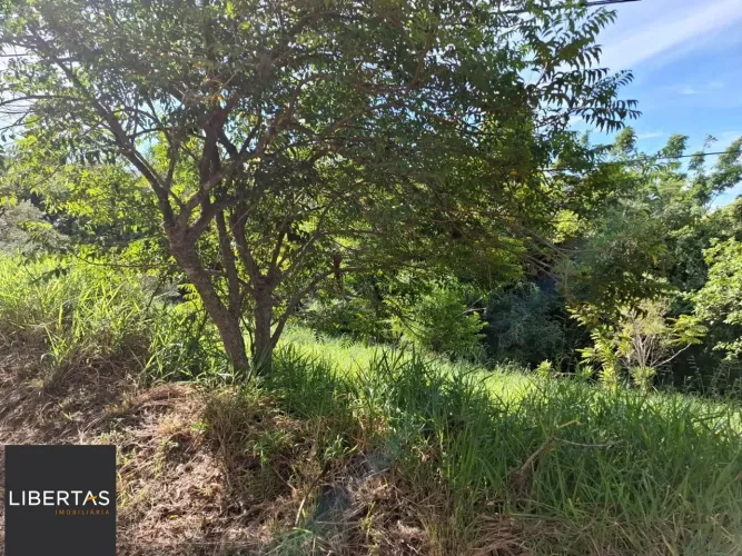 Terreno 23,62 de frente por 52.91 de extenção - Av costa gama 2845