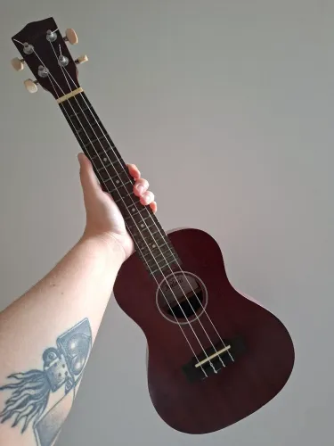 Ukulele Concert Kalani