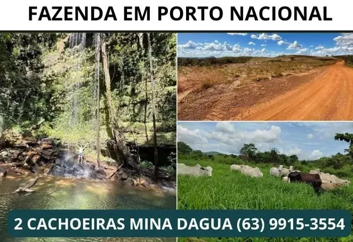 Vendo fazenda ideal para gado e lavoura em porto nacional 