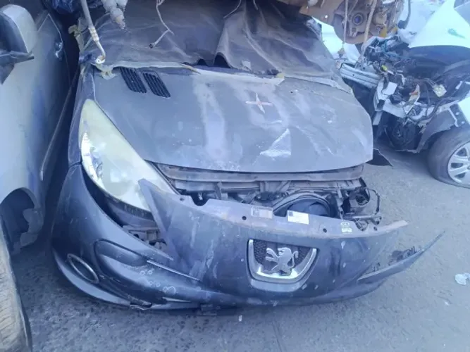 Peugeot 207 Sedan Passion XS 1.6 Flex 16V 4P 2012