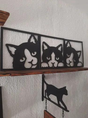 Conjunto 3 quadros Gatos 