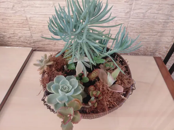 Jardinagem