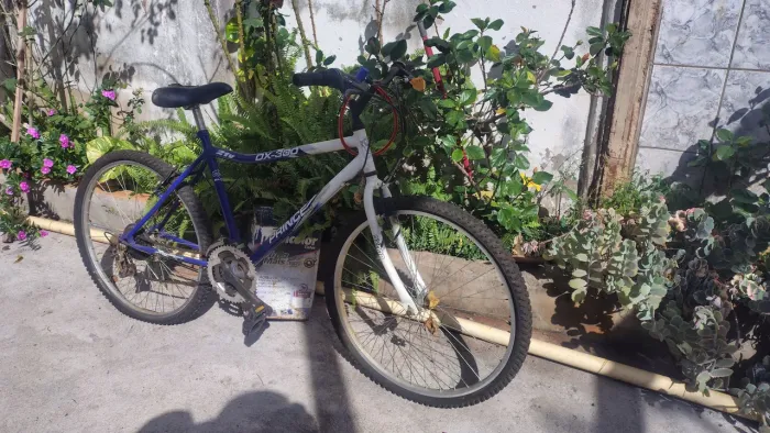 Bicicleta DX 300 / 21 velocidades 