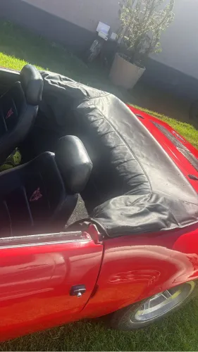 Puma GTS 1.6 Conversivel 8V Gasolina 2P Manual 1978