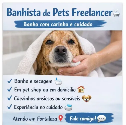 BANHISTA PET SHOP FREELANCER