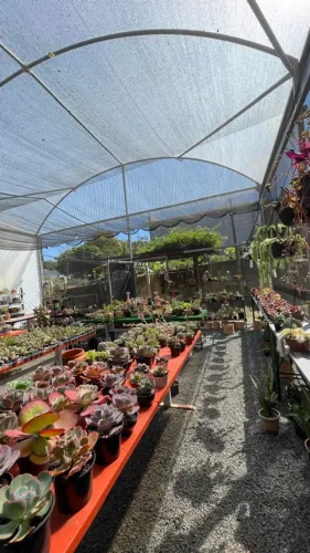 Estufa Agrícola de aço galvanizado 8x15x6