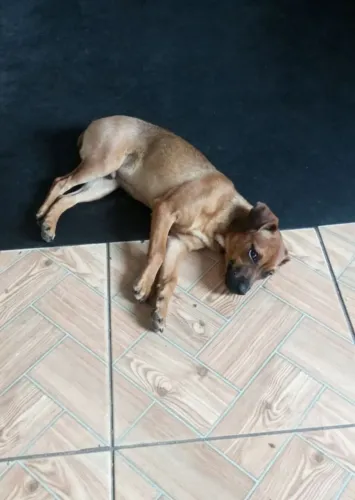 Doação