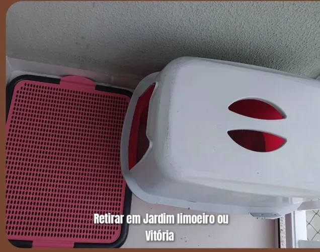 Caixa de areia Pet