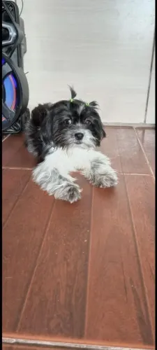 Procurasse um namorado para ela