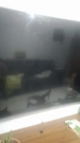 vendo tvs com defeito