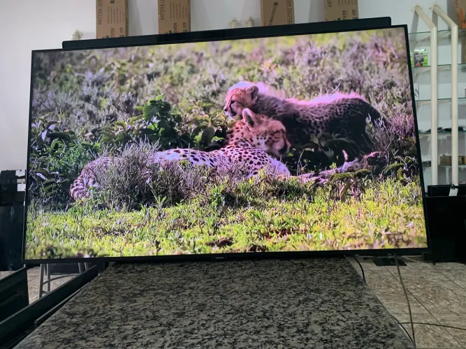TV Philips Smart