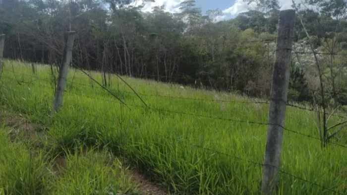 Área 20.000m² c/ Lago/Nascente - Mogi das Cruzes - Próx Rod. Pedro Eroles| Próx. Aruã